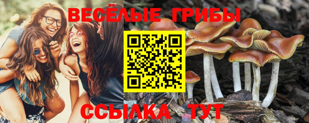 даркнет сайт  Псилоцибиновые грибы MAGIC MUSHROOMS  Вход с VPN  Галлюциногенные грибы мухоморы  Коломна 